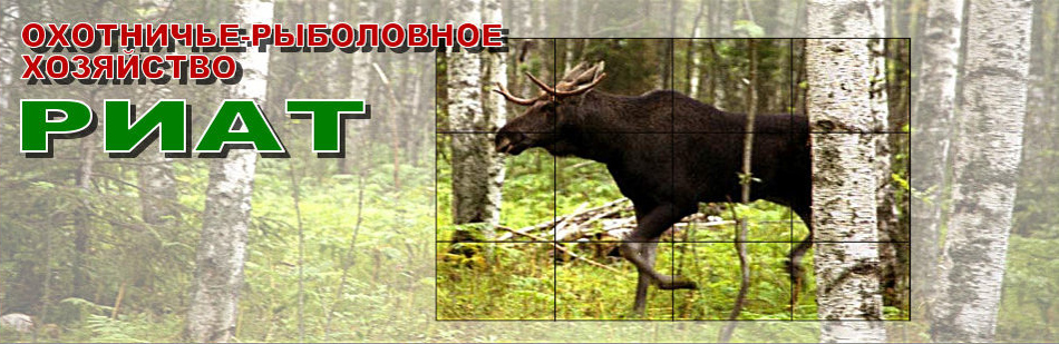 hunting37.ru
